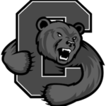 bear logo