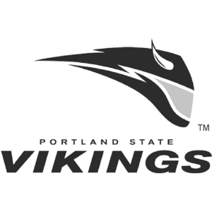 vikings logo